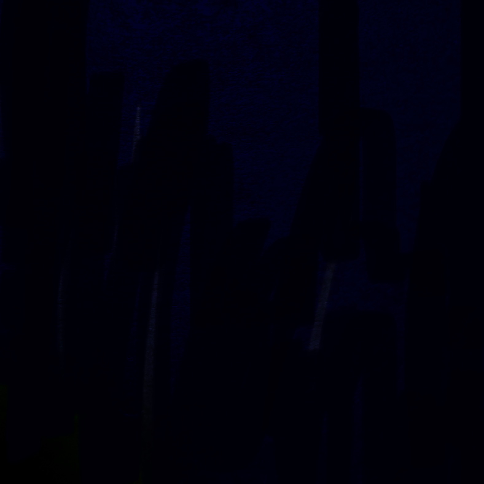 シェアリスの星