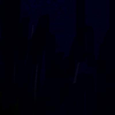 シェアリスの星