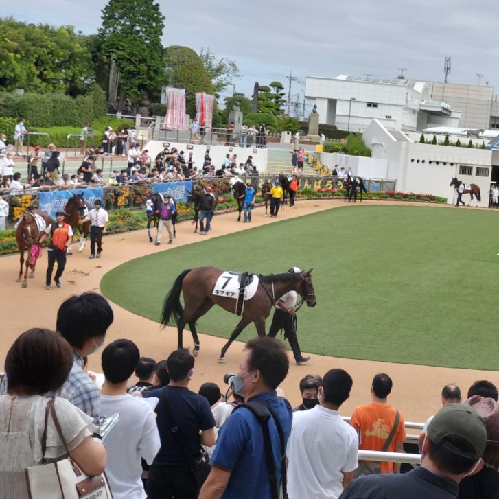 ハズレ馬券自慢の星