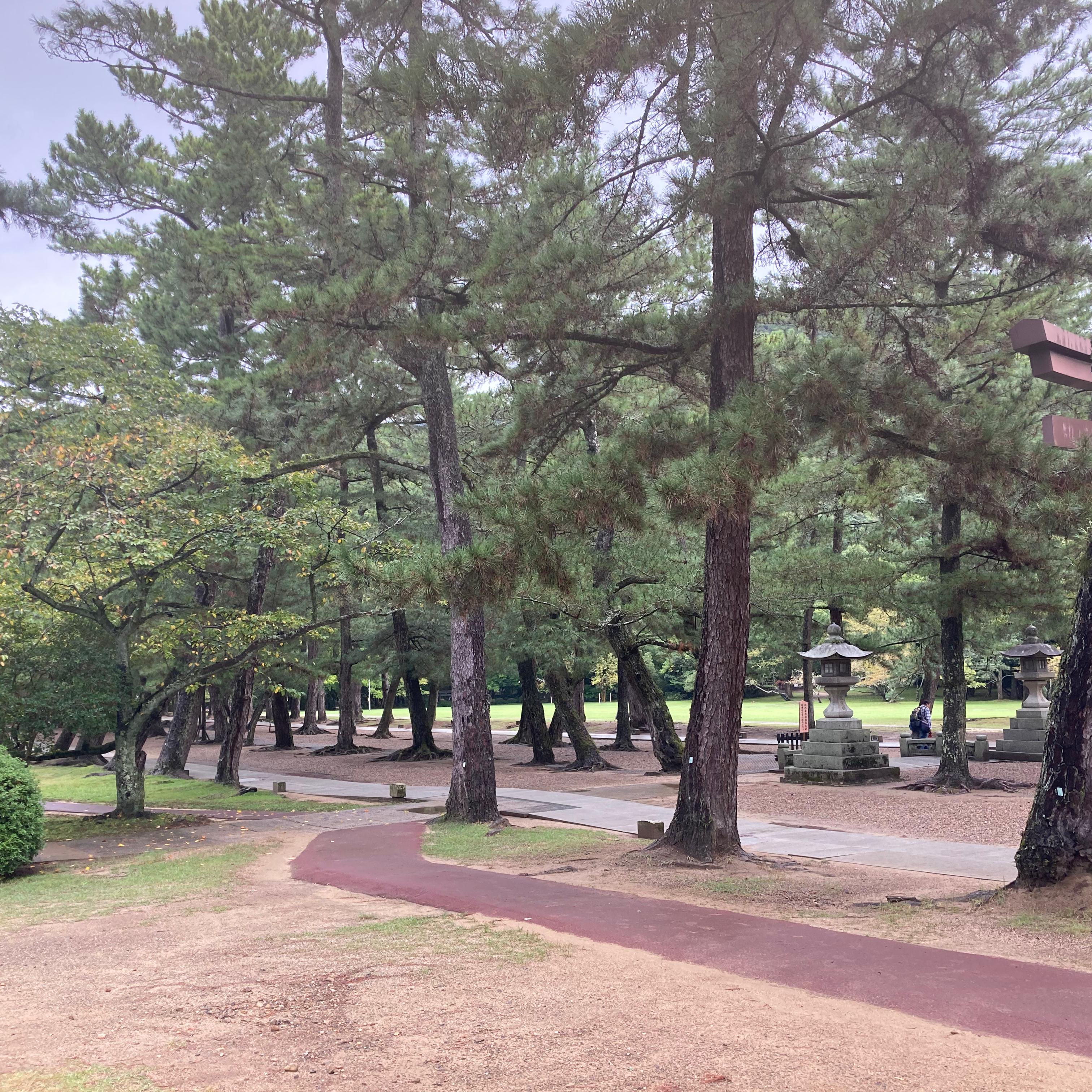 通信制大学の星