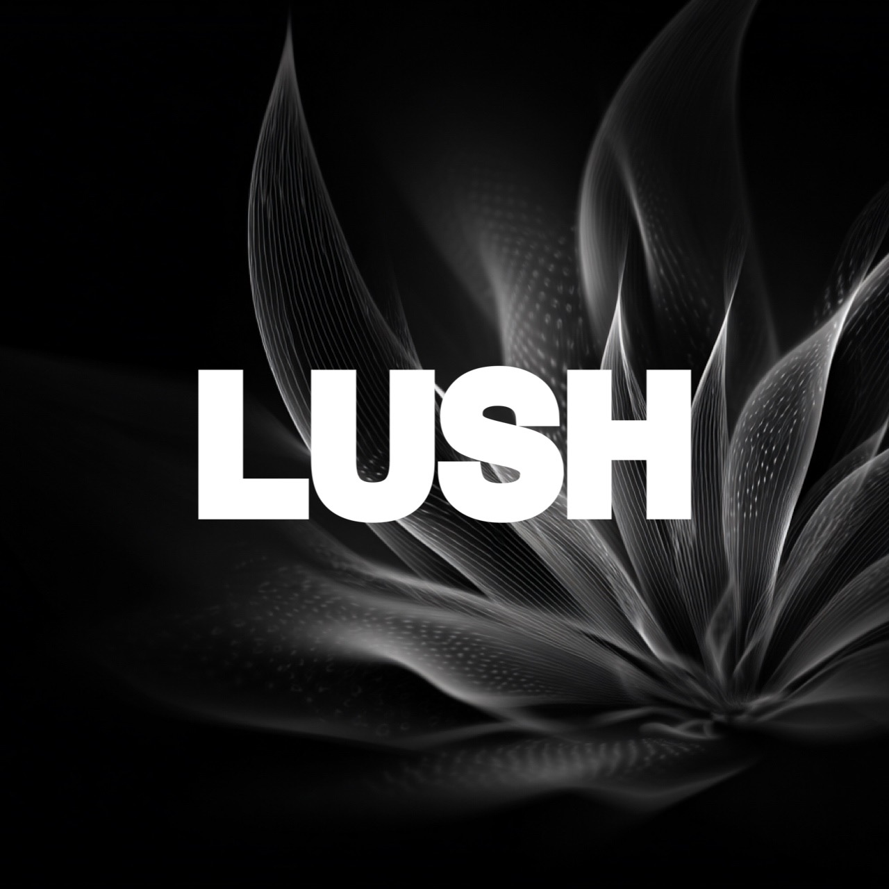 LUSHの星