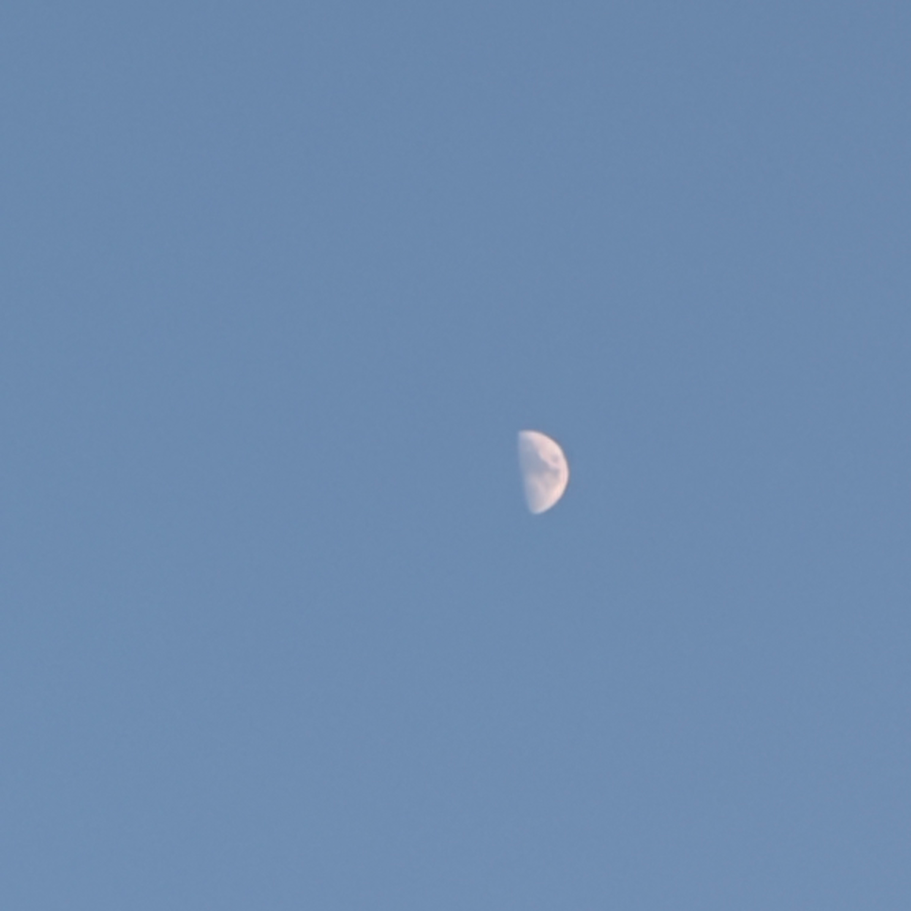 神奈川勉強枠の星