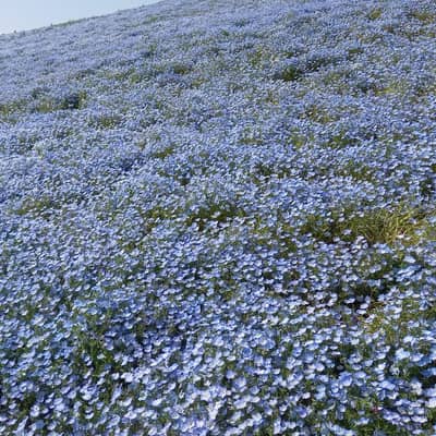 30半ば訳アリの星の星