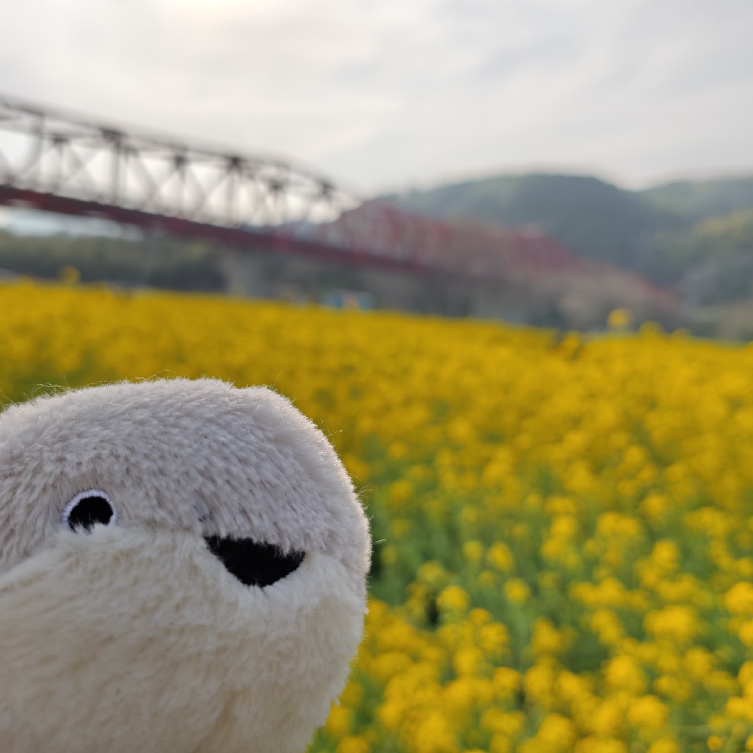自由律俳句の星