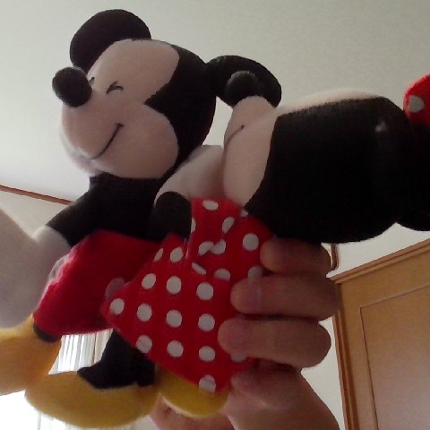 ディズニーファンの星