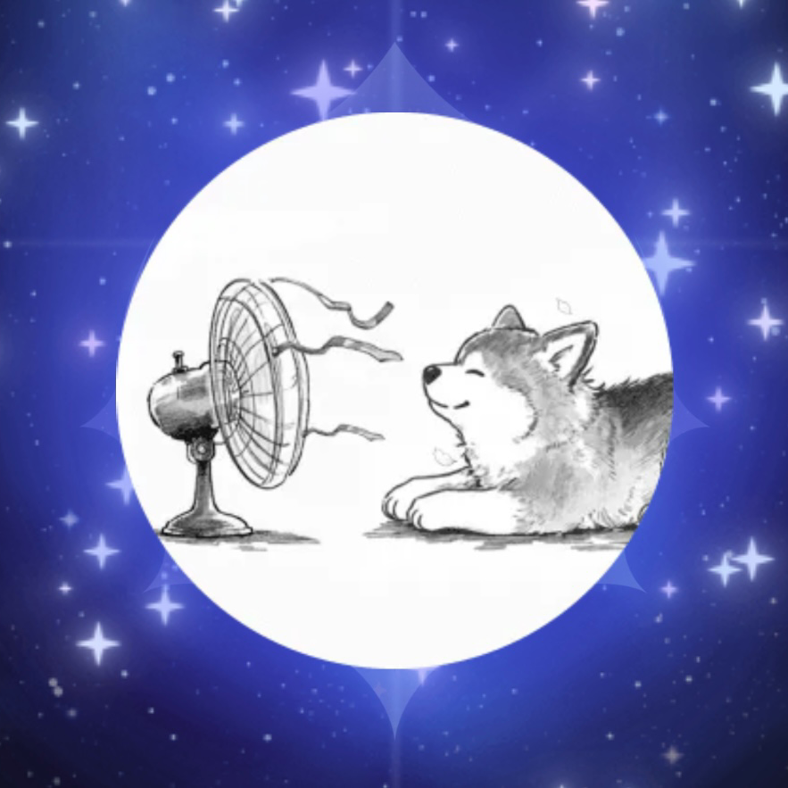 上中級限定交換の星