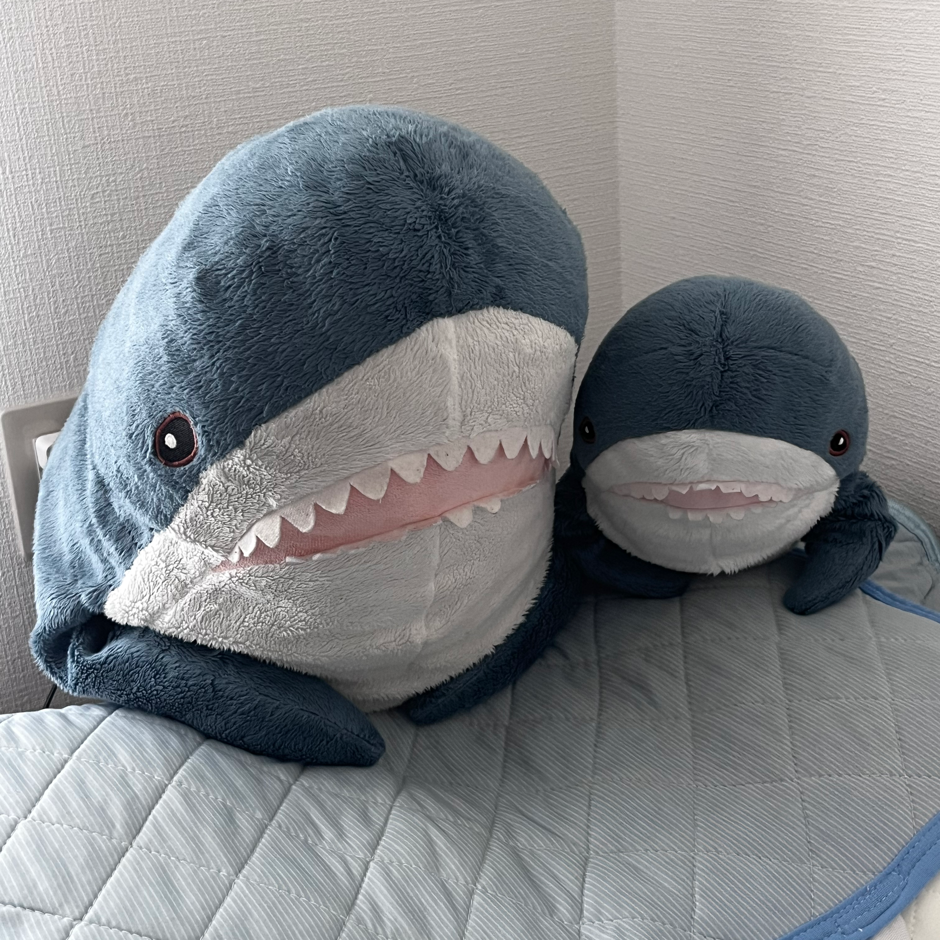 IKEAのサメの星