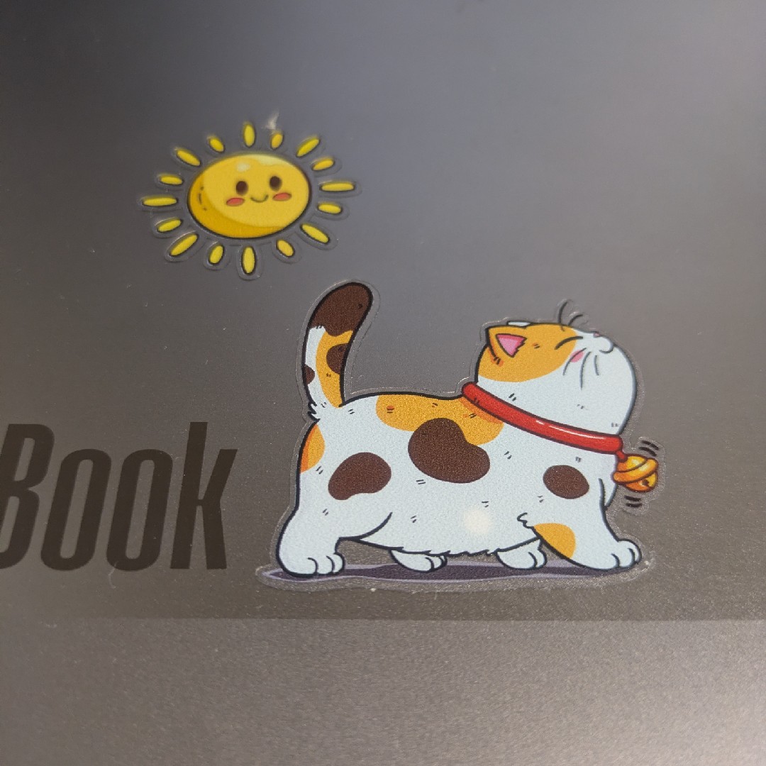 BU3専属契約の星