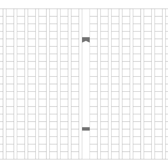 私小説を書く人の星