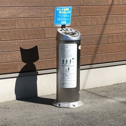猫飼えない人の猫のの星