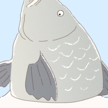 きむ乳毛、ﾋﾟｮｴ！