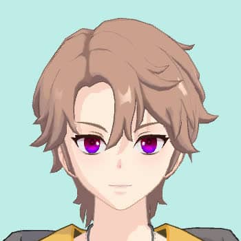 コミケ満員特急電車