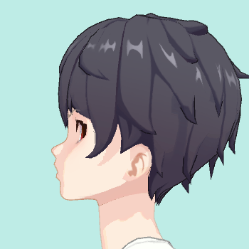 ｽﾞｯｸｿﾃﾞｽ