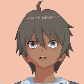 すっとこどっこい丸