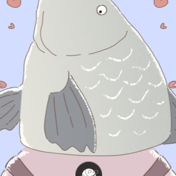 　どさんこマッコイ